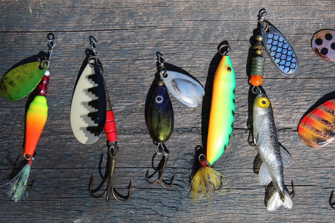 Photo Fishing lure